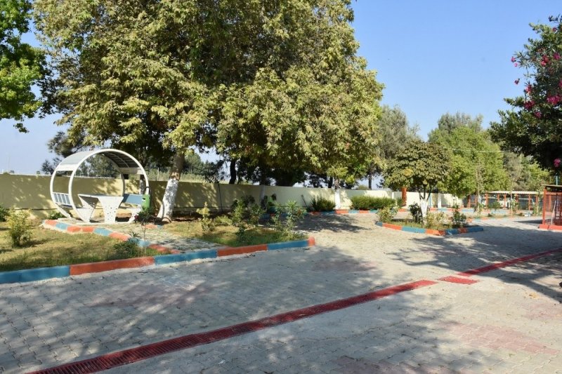 Tarsus Belediyesi, 476 Sokak Hayvanını Tedavi Etti