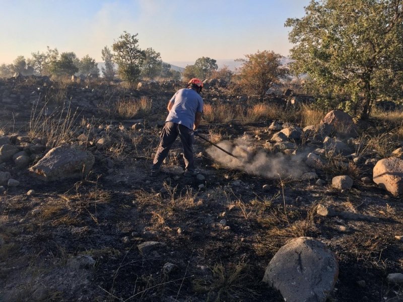 Aksaray’da Hasan Dağı’nda Yangın Paniği