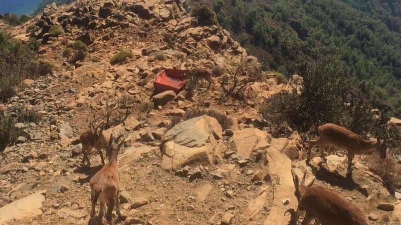Askerlerden Hayvanlar İçin Atık Malzemelerden Suluk