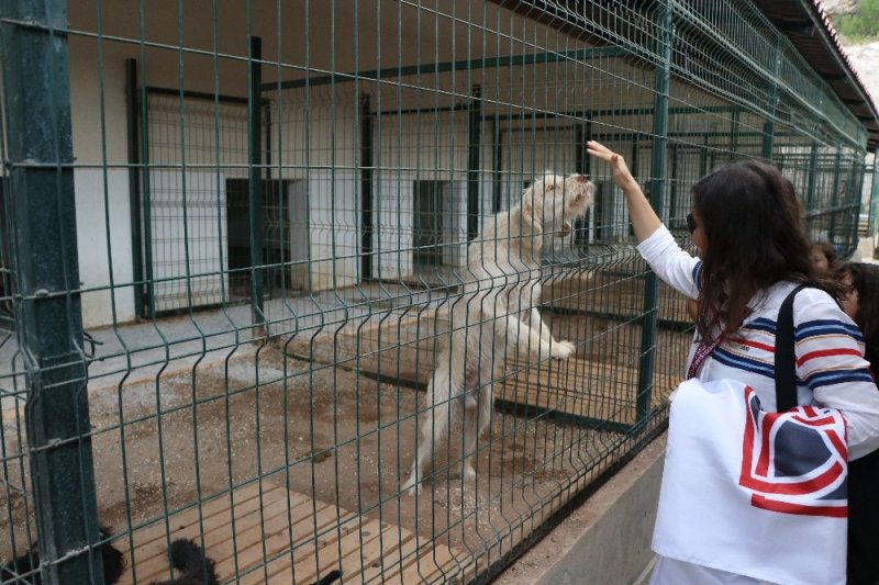 4 Ekim Dünya Hayvanları Koruma Günü