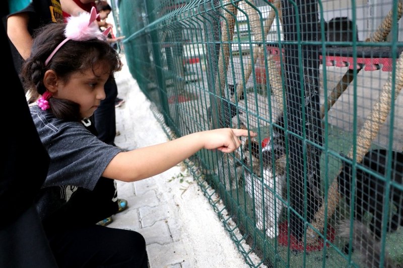 4 Ekim Dünya Hayvanları Koruma Günü