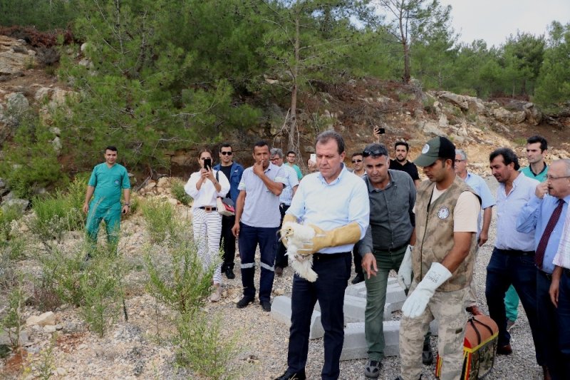 4 Ekim Dünya Hayvanları Koruma Günü