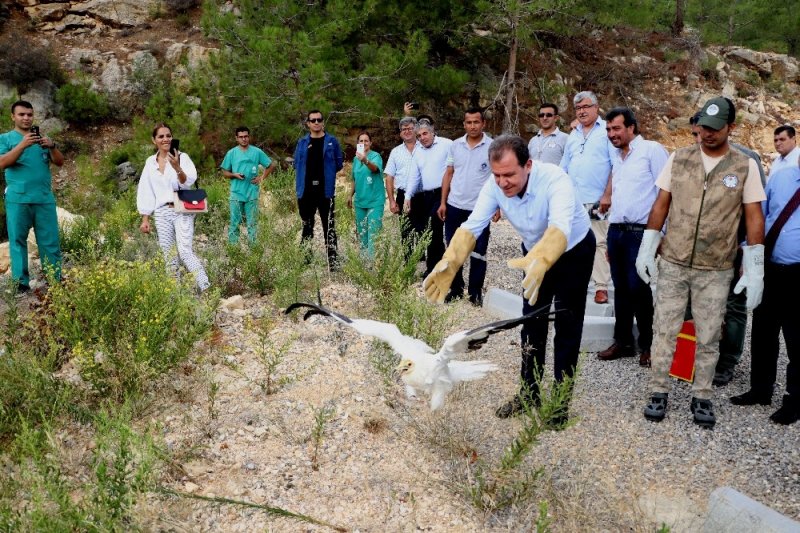 4 Ekim Dünya Hayvanları Koruma Günü