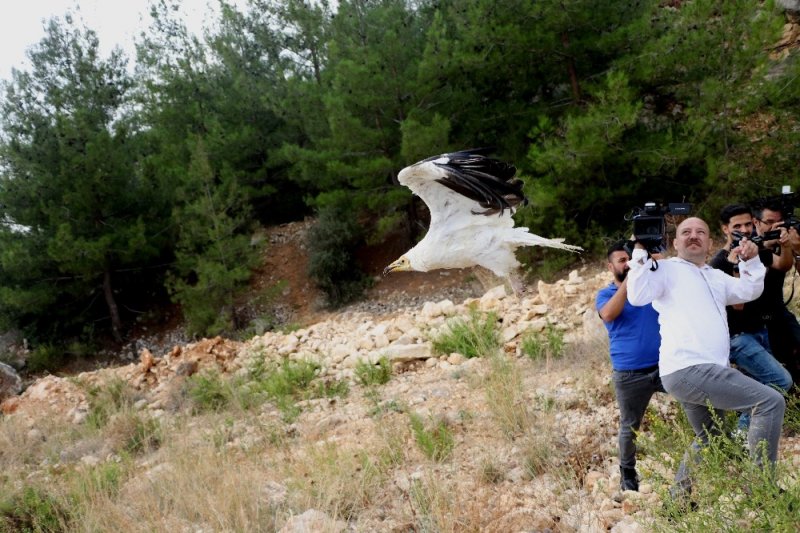 4 Ekim Dünya Hayvanları Koruma Günü