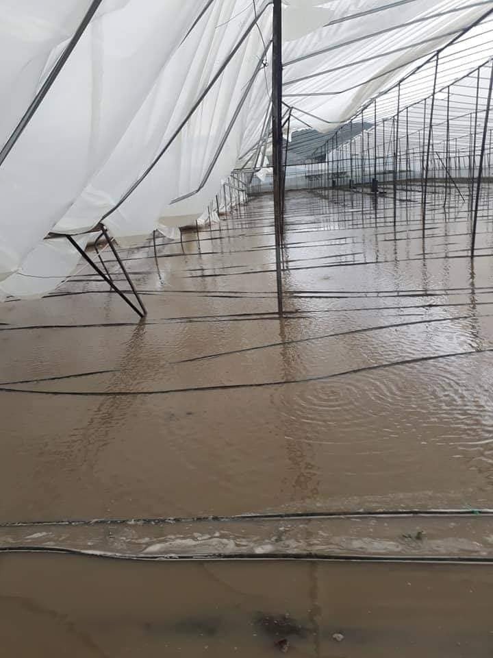 Kaş’ta Sağanak Yağış Seralara Zarar Verdi