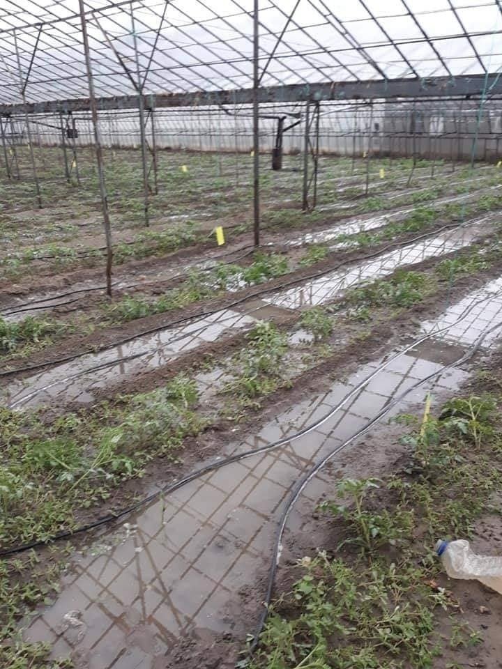 Kaş’ta Sağanak Yağış Seralara Zarar Verdi