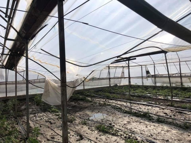 Kaş’ta Sağanak Yağış Seralara Zarar Verdi