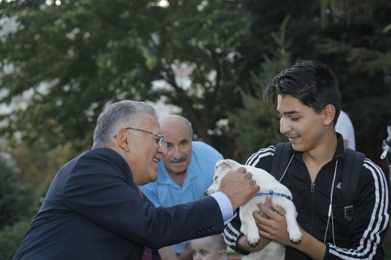 Başkan Büyükkılıç’ın Hayvan Sevgisine Ödül