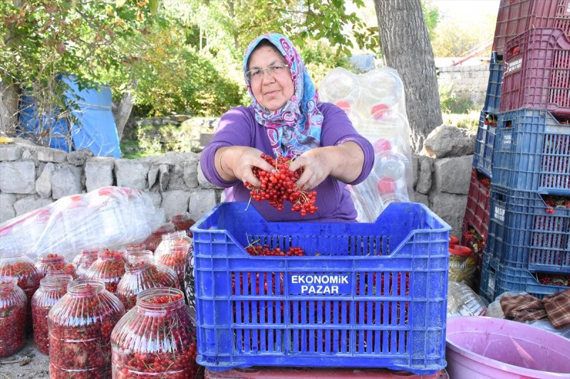 Tescilli "Bünyan Gilaburusu"nda Verim De Talep De Arttı