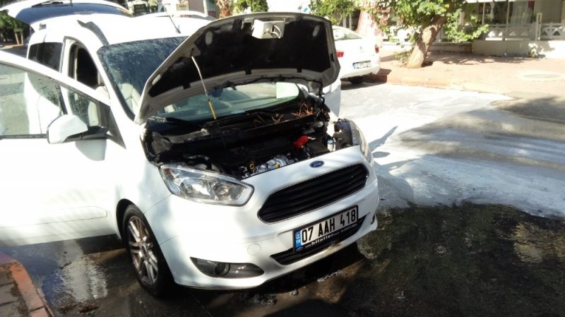 Otomobilin Motoruna Giren 3 Kirpi Telef Oldu