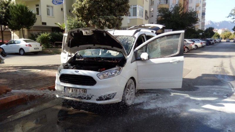 Otomobilin Motoruna Giren 3 Kirpi Telef Oldu