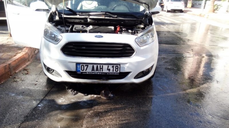 Otomobilin Motoruna Giren 3 Kirpi Telef Oldu