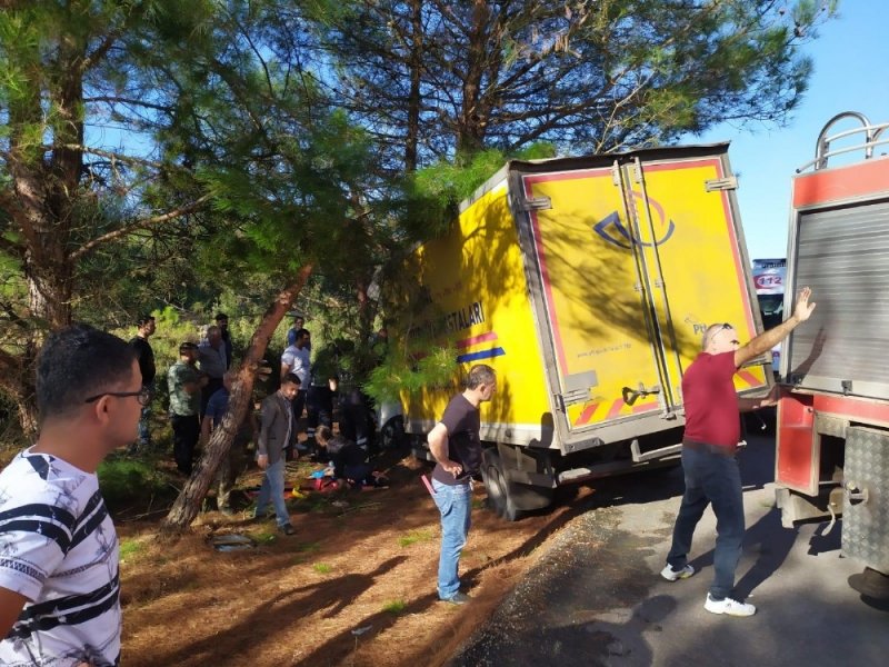 Kargo Aracı Ağaca Çarptı: 1 Yaralı