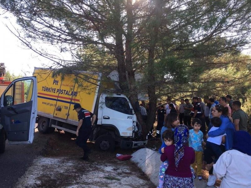 Kargo Aracı Ağaca Çarptı: 1 Yaralı