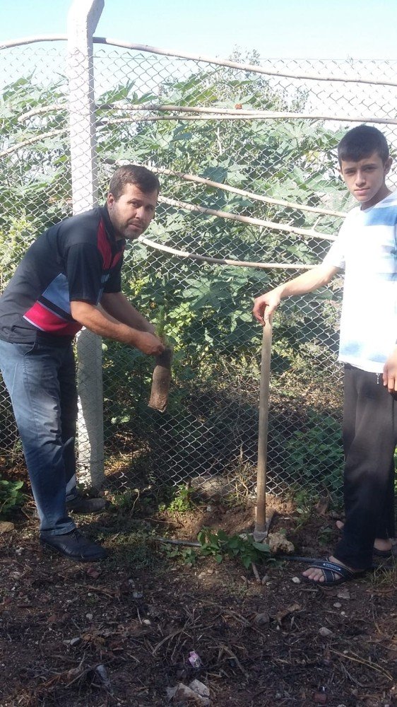 Serik’te Fidan Dikme Etkinliği