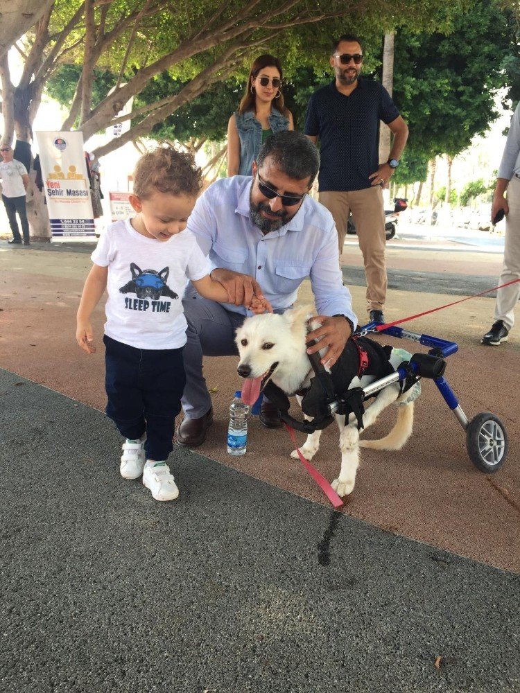 Mersin Barosu, Vatandaşları Hayvan Hakları Konusunda Bilinçlendirdi