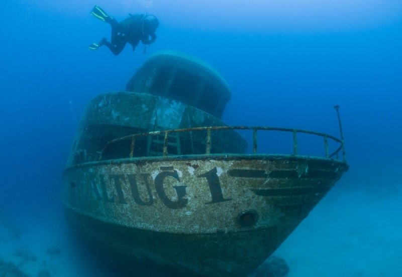 80 Bin Dalış İle Dünyanın En Önemli 50 Dalış Merkezi Arasına Girdi