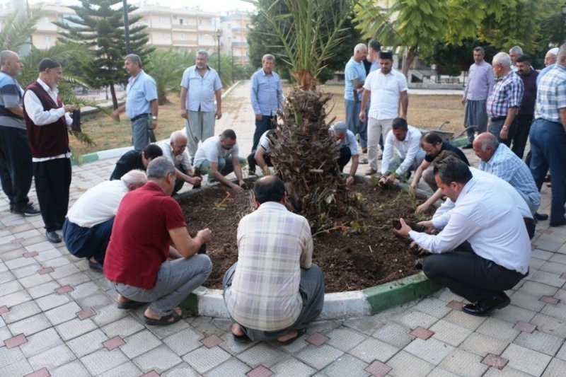 Cami ve Hayat Teması Çerçevesinde Müftülük Fidan Dikimi Yaptı