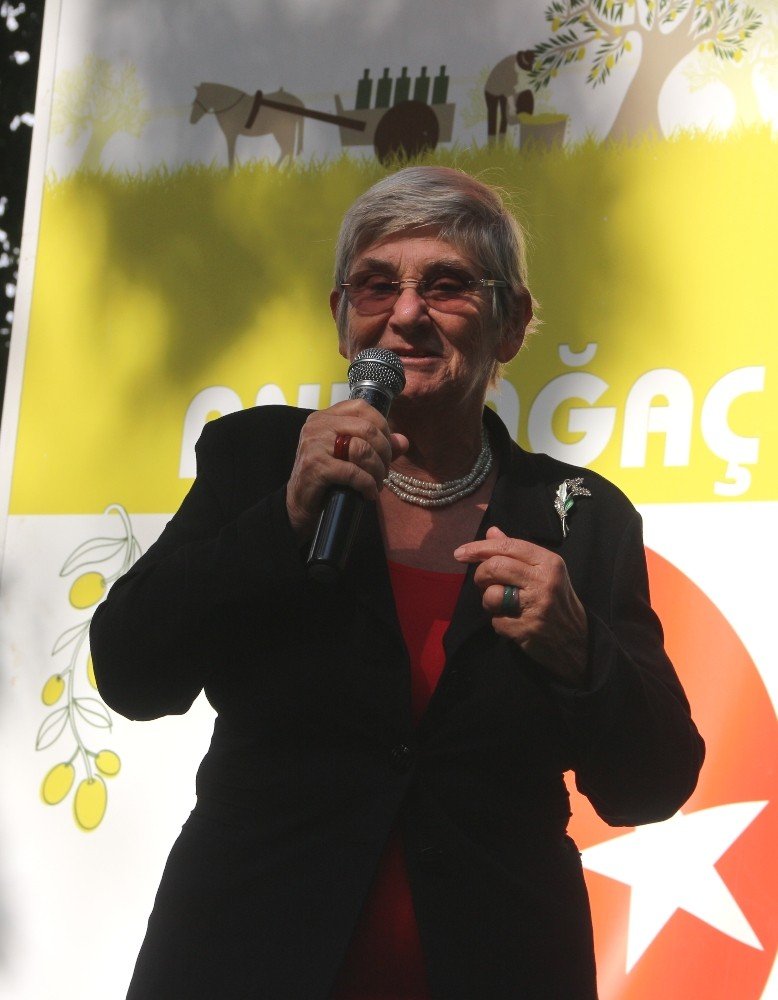 Zeytin ve Zeytinyağı Şenliği 11 Ekim Cuma Günü Yapılacak