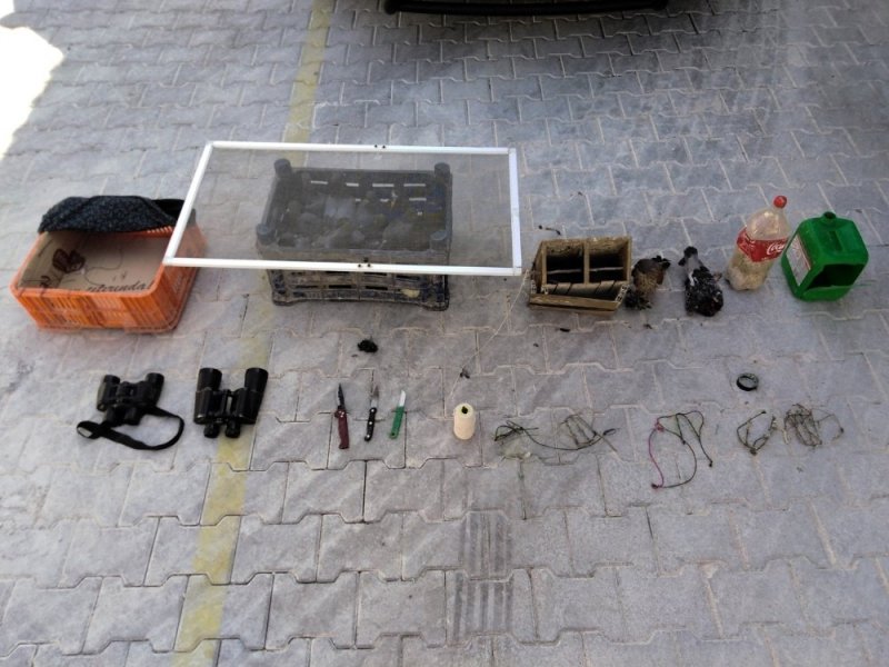 Tuzak Kurarak Şahin Avı Yapan Avcılar Yakalandı