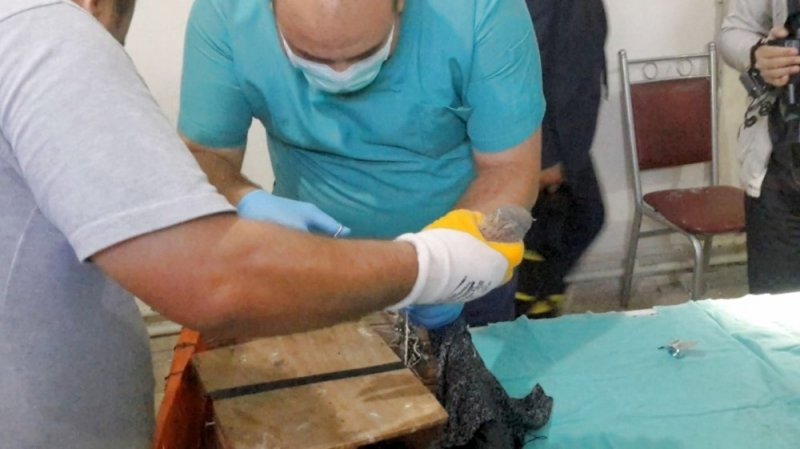 Tuzak Kurarak Şahin Avı Yapan Avcılar Yakalandı