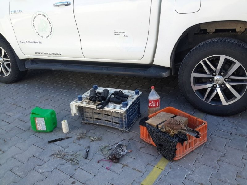 Tuzak Kurarak Şahin Avı Yapan Avcılar Yakalandı