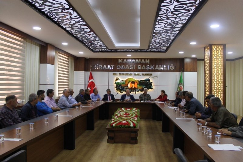 Karaman’da  Bu Sene Pancara Karadrina Kurdu Damga Vurdu