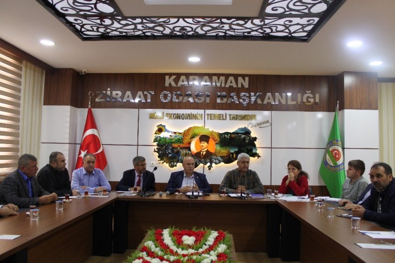 Karaman’da  Bu Sene Pancara Karadrina Kurdu Damga Vurdu