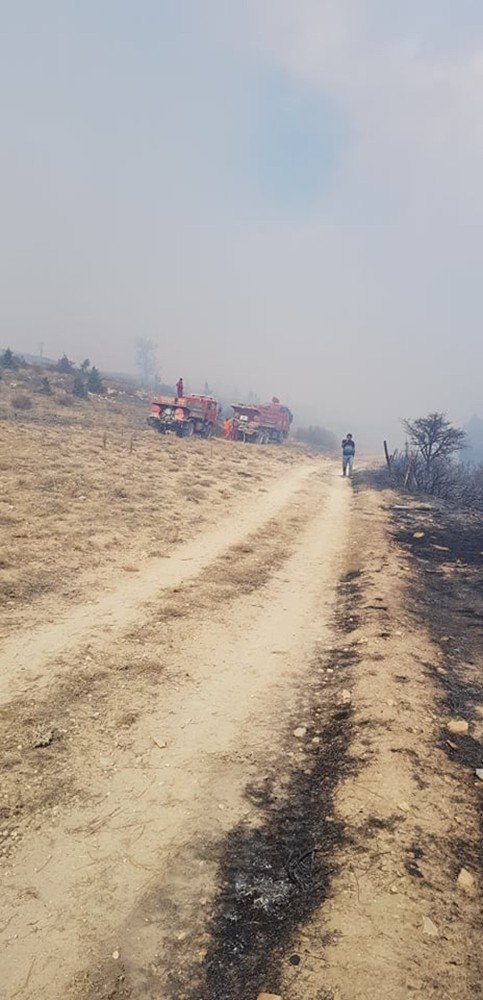 Mersin'in Mut İlçesinde Orman Yangını Çıktı