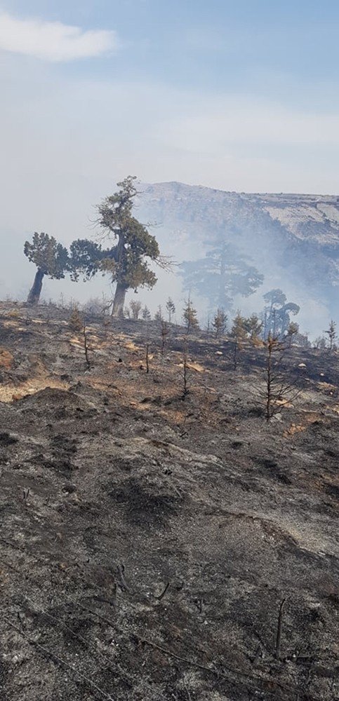 Mersin'in Mut İlçesinde Orman Yangını Çıktı