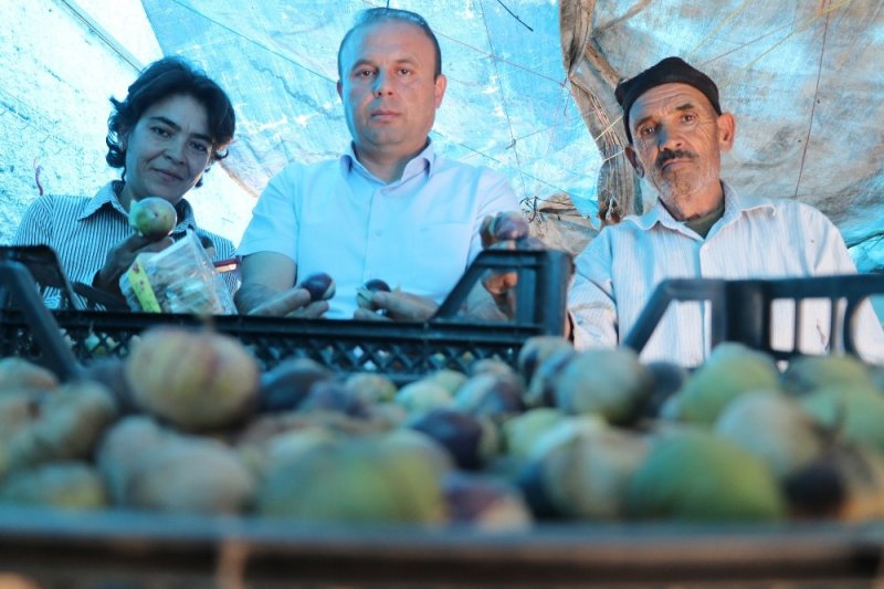 Yakalandığı Meme Kanserini Yetiştirdiği Mor Çilekle Yendi