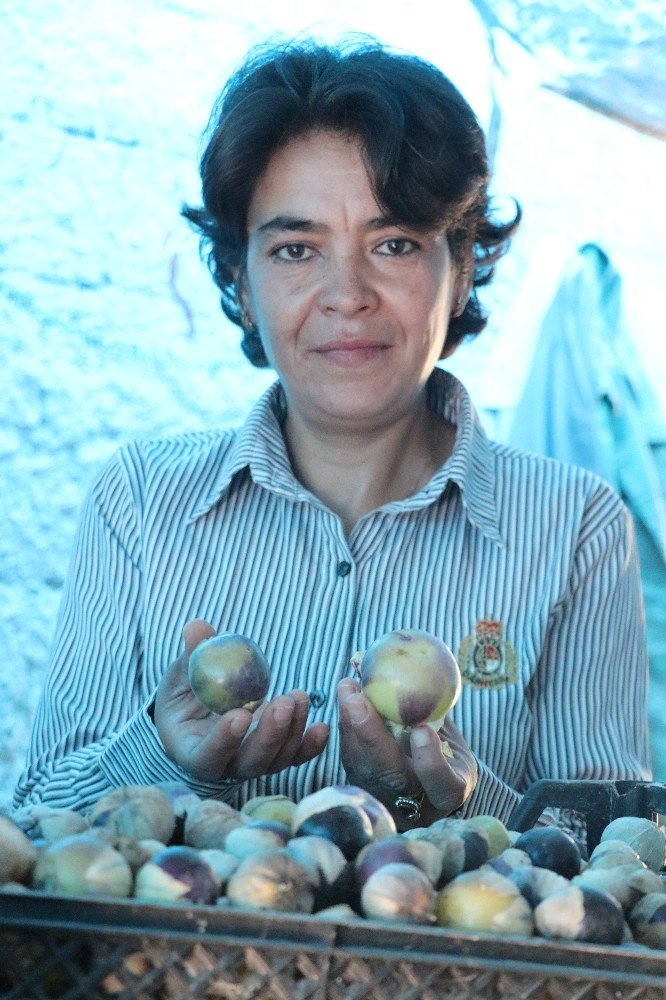 Yakalandığı Meme Kanserini Yetiştirdiği Mor Çilekle Yendi