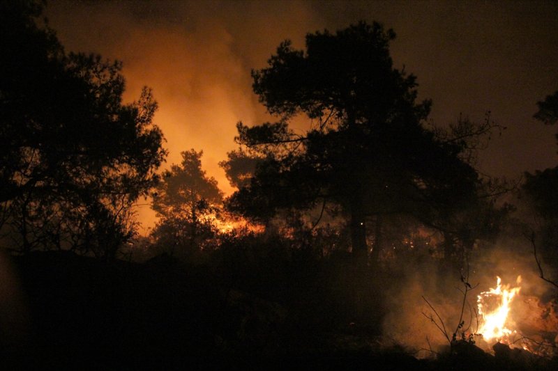 Erdemli İlçesinde Ormanlık Alanda Yangın Çıktı