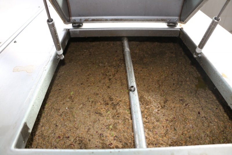 ANTBİRLİK Zeytinyağı Tesislerinde Bu Yıl Yağ Sıkım Sezonu Açtı