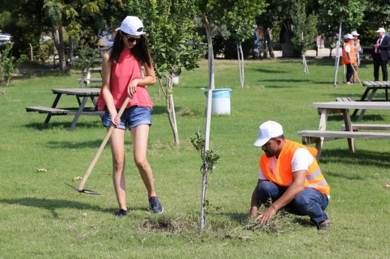 ALKÜ Rektörü Prof. Dr. Ekrem Kalan, Öğrencilerle Ağaçlara Bakım Yaptı