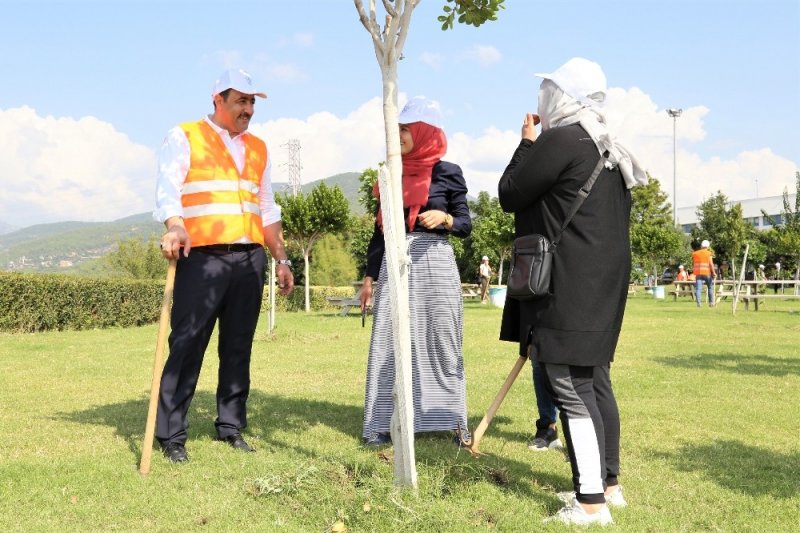 ALKÜ Rektörü Prof. Dr. Ekrem Kalan, Öğrencilerle Ağaçlara Bakım Yaptı