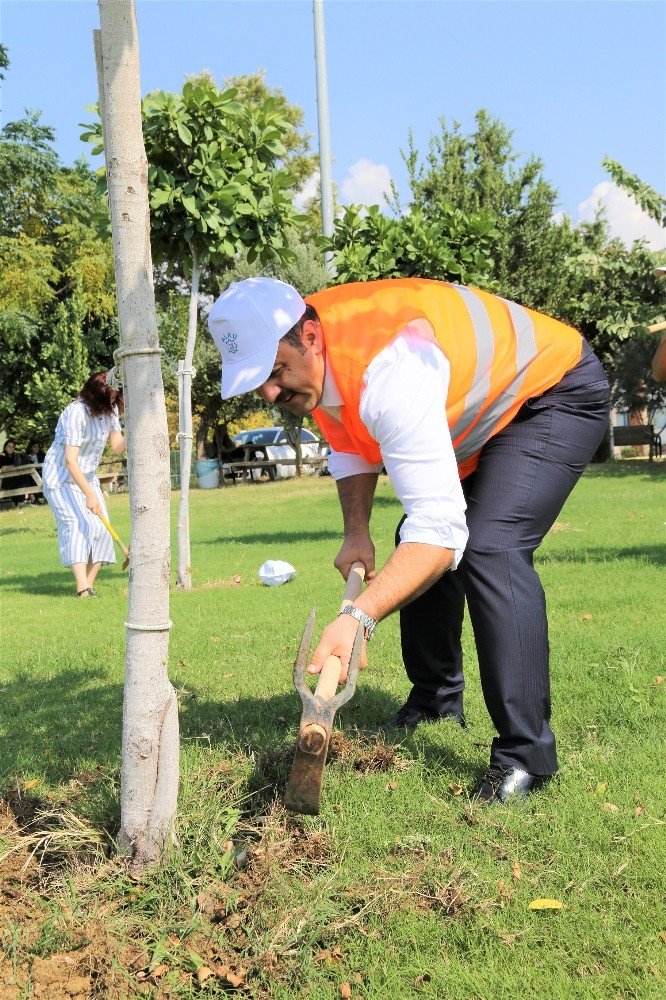 ALKÜ Rektörü Prof. Dr. Ekrem Kalan, Öğrencilerle Ağaçlara Bakım Yaptı