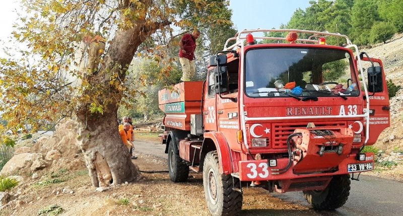 Piknikçilerin Kovuğuna Ateş Yaktığı Ağaca Orman Ekipleri Müdahale Etti