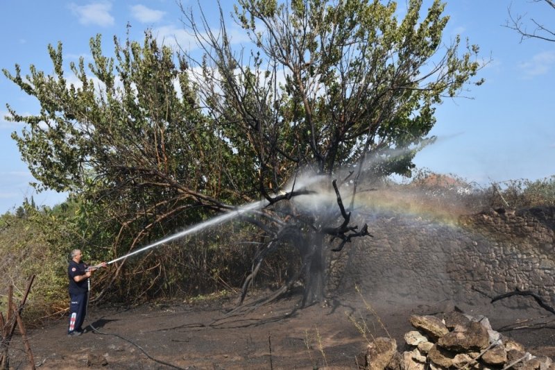 Antalya'da Yerleşim Yerine Yakın Otluk ve Çalılık Alanda Yangın Çıktı