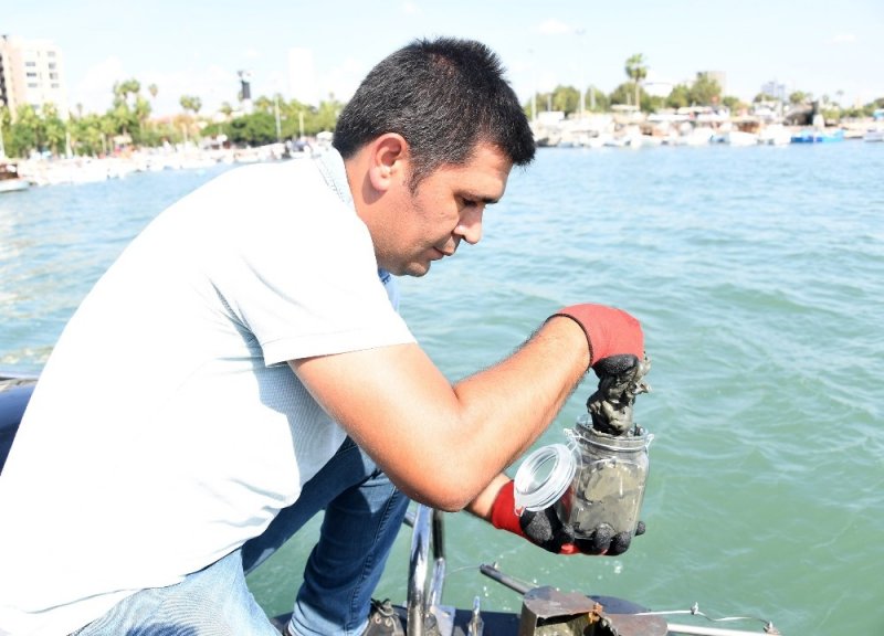Mersin Büyükşehir Belediyesi Temiz Deniz Denetimini Büyük Bir Titizlikle Sürdürdü