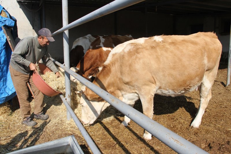 Kayserili Girişimciye İşkur Desteği