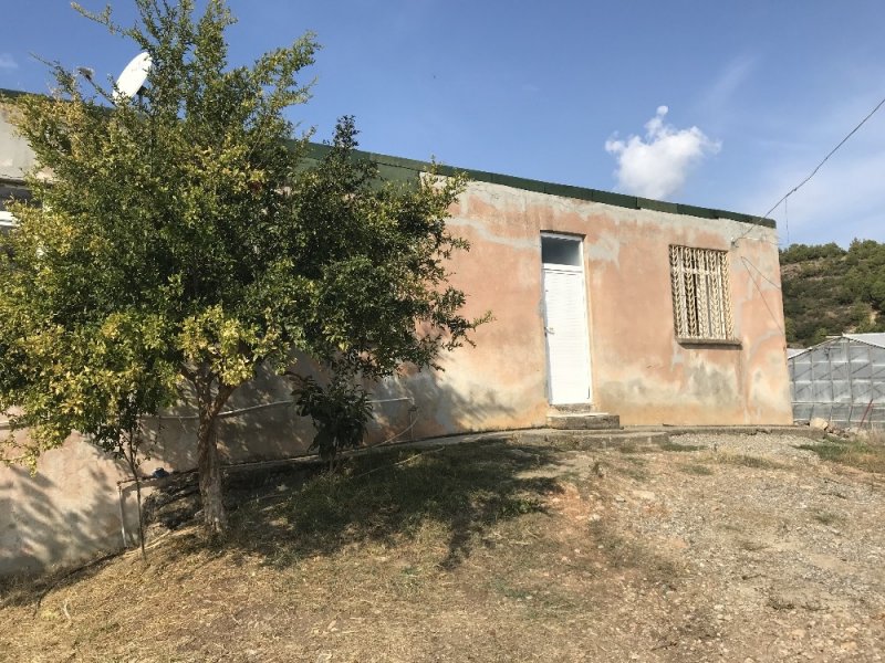 Görme Engelli Havva Teyzenin Kur’an-ı Kerim Aşkı