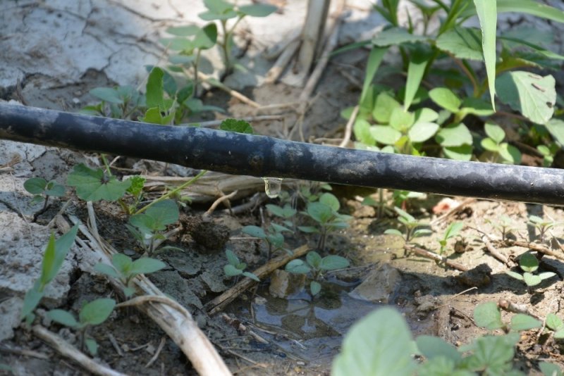 Antalya’da 464 Bin 739 Dekar Tarım Arazisi Sulandı