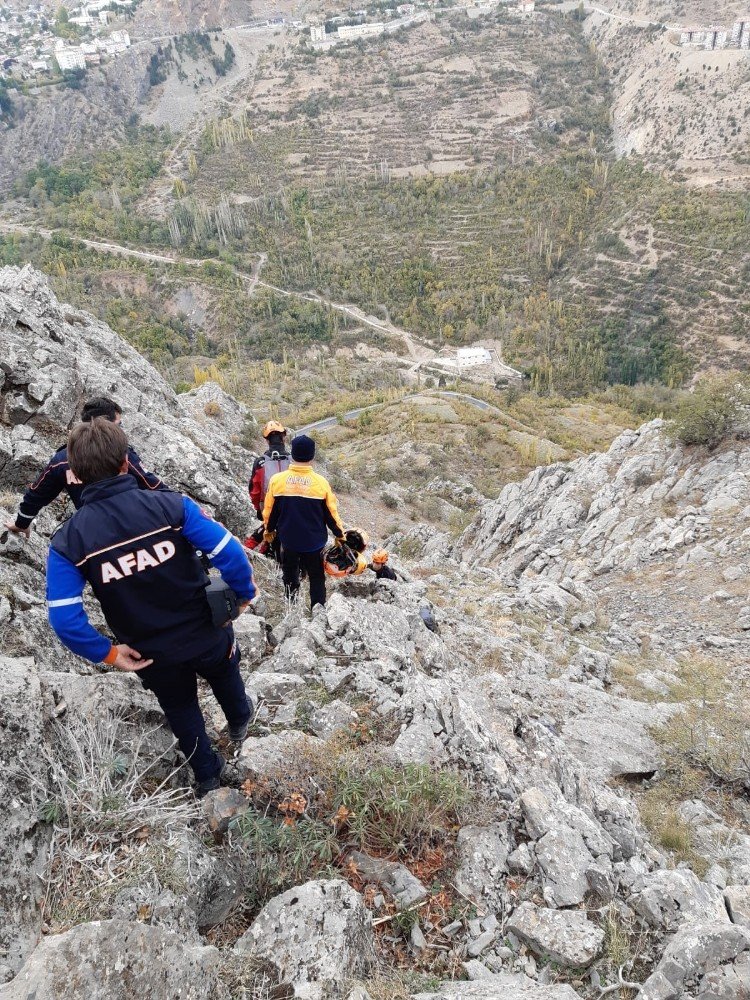 Dağda Mahsur Kalan Keçileri Afad Kurtardı