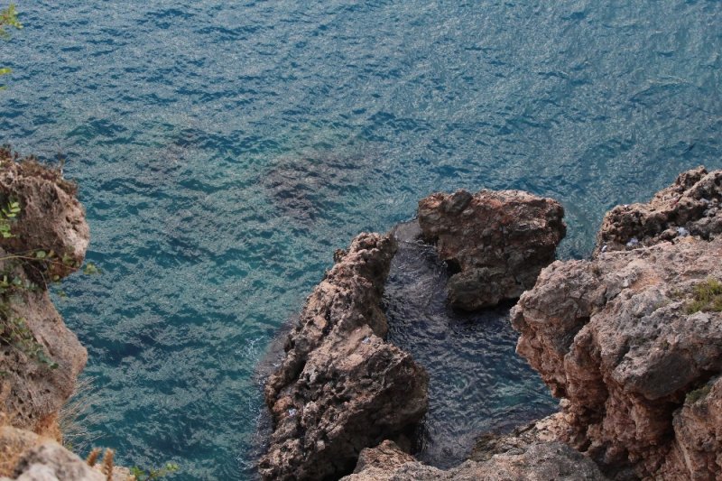 Akdeniz'de Zehirli Deniz Kestanesi Uyarısı