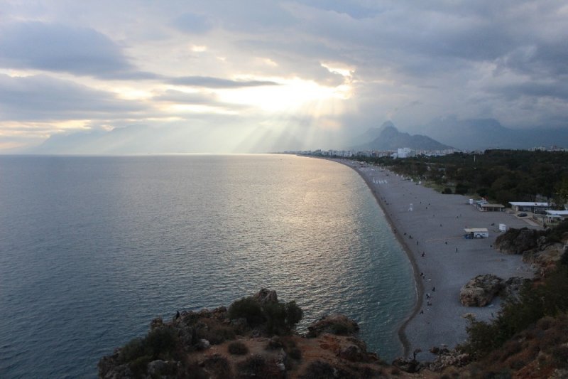 Akdeniz'de Zehirli Deniz Kestanesi Uyarısı