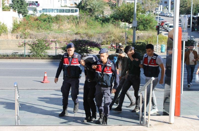 Girdikleri Bahçeden 30 Bin Tl Değerinde 10 Bin Avakado Çaldılar