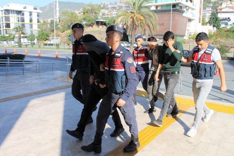 Girdikleri Bahçeden 30 Bin Tl Değerinde 10 Bin Avakado Çaldılar
