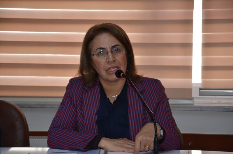 Chp Kadın Kolları Genel Başkanı Köse, Karaman'da