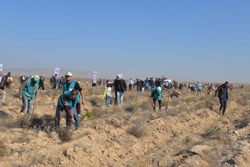 Rektör Akgül, ‘Geleceği Nefes” Kampanyası İçin Fidan Dikti